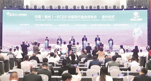 足跡遍五洲,亳藥加快 出海之旅 藥 向未來 特別報道之一