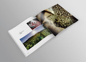 品味巔峰，源自純粹——帝芬諾高端精品咖啡產品宣傳畫冊