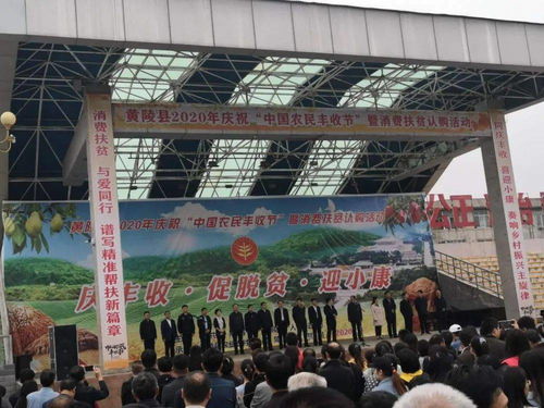 促增收，助脫貧——雙龍鎮(zhèn)參加全縣消費(fèi)扶貧產(chǎn)品展銷會，開展經(jīng)營助力打贏脫貧攻堅(jiān)戰(zhàn)
